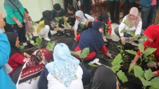 KKN Mahasiswa Undip: Ajak Warga Ubah Sampah Organik Menjadi Kompos