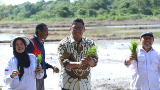 Wamentan Sudaryono: Pemerintah Jamin Perlindungan Petani Lewat Asuransi Usaha Tani Padi