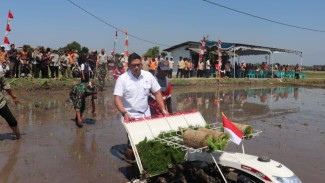 Wujudkan Swasembada, Wamentan Sudaryono Dorong BUMN Pangan Jadi Pusat Benih Terbesar RI