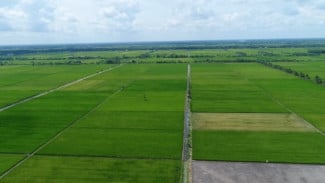 Proyek Merauke Jangan Disamakan Proyek Prof Andreas yang Gagal di Pertanian