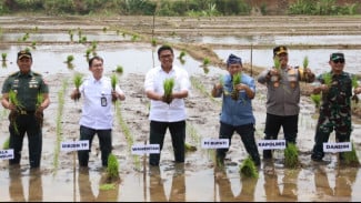 Kejar Tanam di Bulan Oktober, Wamentan Sudaryono Pastikan Ketersediaan Pupuk Aman
