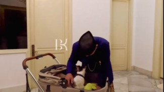 Bobby Kertanegara Jadi Kucing Penghuni Istana Temani Prabowo, Follower Instagramnya Tembus 481 Ribu