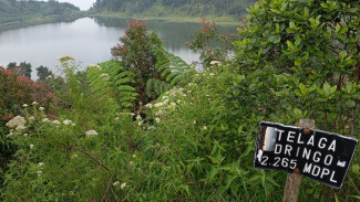 Empat Destinasi Wisata Terbaru di Jawa Tengah, Ada Fenomena Warna Air yang Dapat Berubah