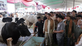 Kunker ke Lampung, Mentan Amran Bereskan 5 Keluhan Petani-Peternak
