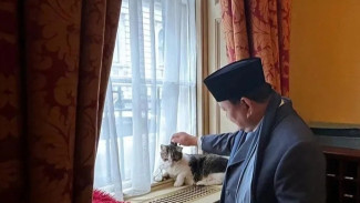 Kala Prabowo Subianto Main dengan Larry Kucing di Kantor PM Inggris, Netizen: Emeeeesh...