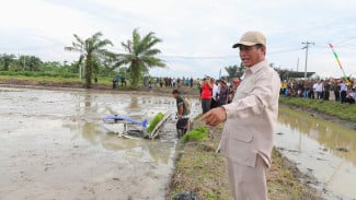 Tinjau Sawah Sumut, Mentan Amran Pastikan Program Swasembada Lewat Oplah dan Cetak Sawah Berjalan Lancar