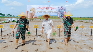 Mentan Amran dan Panglima TNI Perkuat Kolaborasi Wujudkan Swasembada Pangan