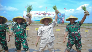 Duet Anak Babinsa Lomba Tanam: Satu Anak Serka, Satunya Anak Serma