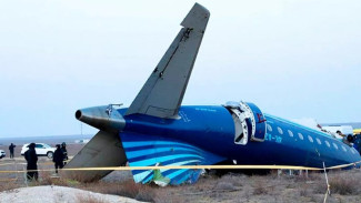 Spekulasi Jatuhnya Azerbaijan Airlines: Ditabrak Burung hingga Ditembak Rusia