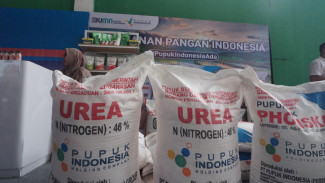 Mentan: Lewat Tengah Malam Tahun Baru 2025, Petani Sudah Bisa Tebus Langsung Pupuk Subsidi