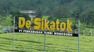 Destinasi Wisata Ramah Anak dengan Petualangan Segar di Kebun Teh Sikatok Wonosobo