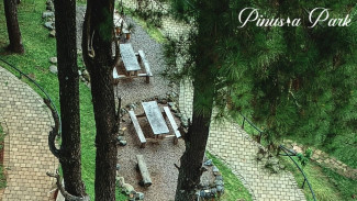 Libur Panjang ke Mana? Yuk, Santai di Pinusia Park Semarang Sambil Nikmati Kuliner Lokal