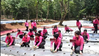 Akpol Luncurkan Program Pekarangan Pangan Lestari