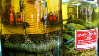 Berani Coba? 4 Minuman Ekstrem di Dunia, Gak Semua Orang Tahan Lihat yang Pertama!
