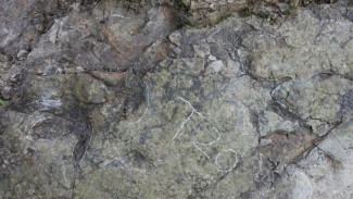Bikin Geger! Jejak Kaki Dinosaurus 200 Juta Tahun Muncul di Dinding Tebing China, Ilmuwan Terpana