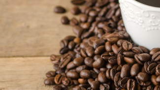 Ternyata Kopi itu Buah! Ini 7 Fakta Mengejutkan Kopi yang Mungkin Tak Banyak Diketahui Orang