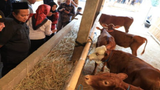 Sekretaris Komisi B DPRD Jateng Sebut Wonogiri Berpotensi Jadi Pusat Budidaya Sapi