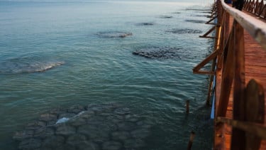 img_title