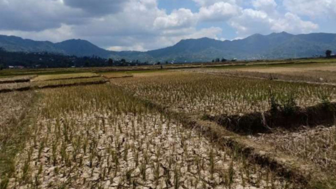 waspada kekeringan di Jateng