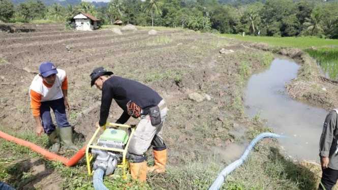 Ilustrasi petani melakukan pompanisasi lahan pertanian