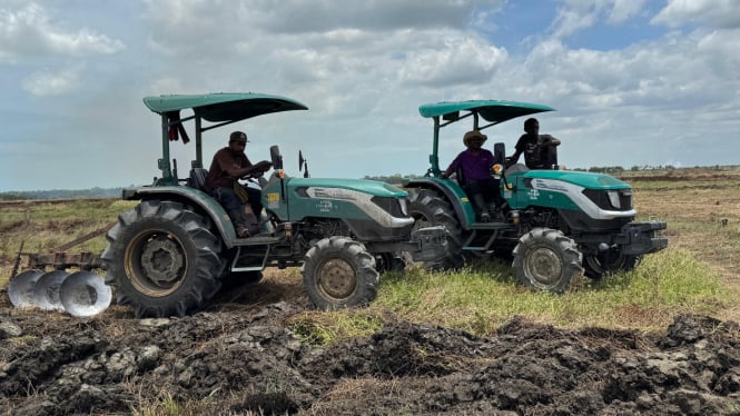 Program cetak sawah di Kabupaten Merauke