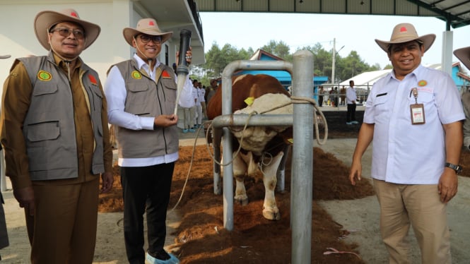 Wamentan Sudaryono mengunjungi peternakan sapi