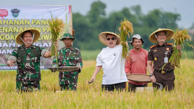 Jerry Hermawan Lo bangun lahan tidur jadi pertanian