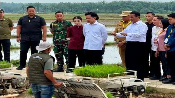 Wapres Gibran bersama Mentan tinjau pertanian di Langkat