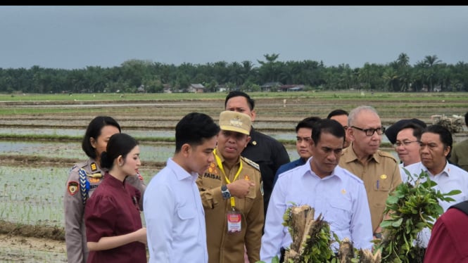 Wapres Gibran Rakabuming Raka bersama Mentan di Langkat