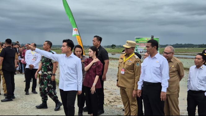 Wapres Gibran bersama Mentan di Langkat