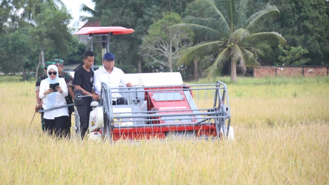 Wamentan Sudaryono saat meninjau panen raya petani di Sumsel