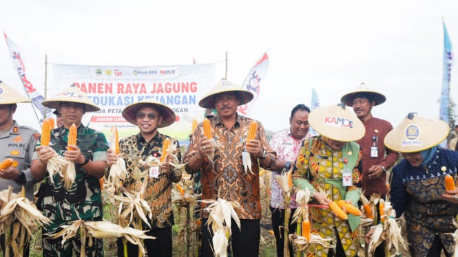 Pj Gubernur Jateng Nana Sudjana Panen Raya Jagung.