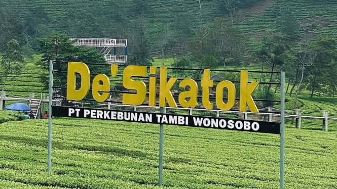 Kebun Teh Sikatok