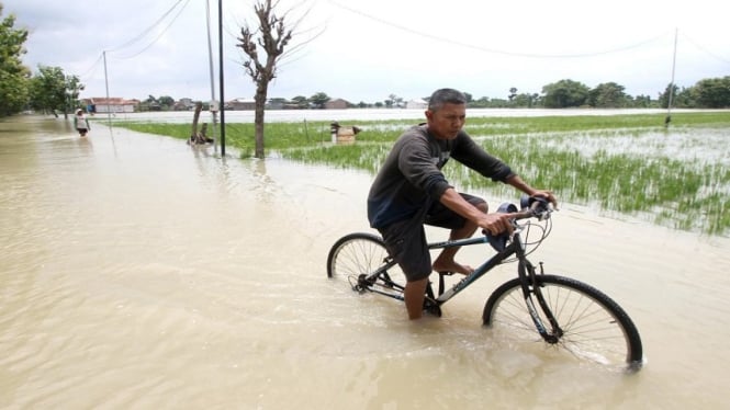 Banjir di area persawahan Sragen