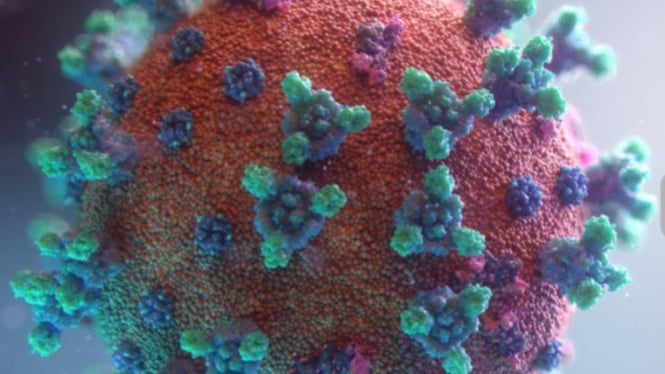 ilustrasi virus covid-19