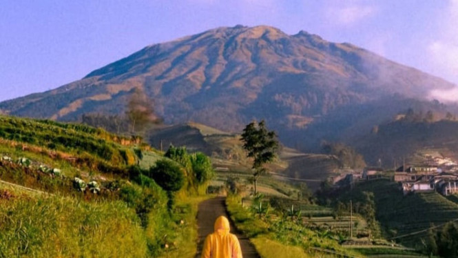 Gunung sumbing