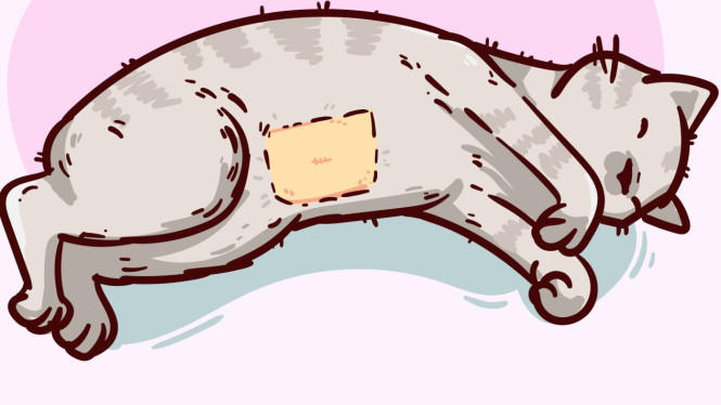 Ilustrasi kucing, kucing, kucing mati.