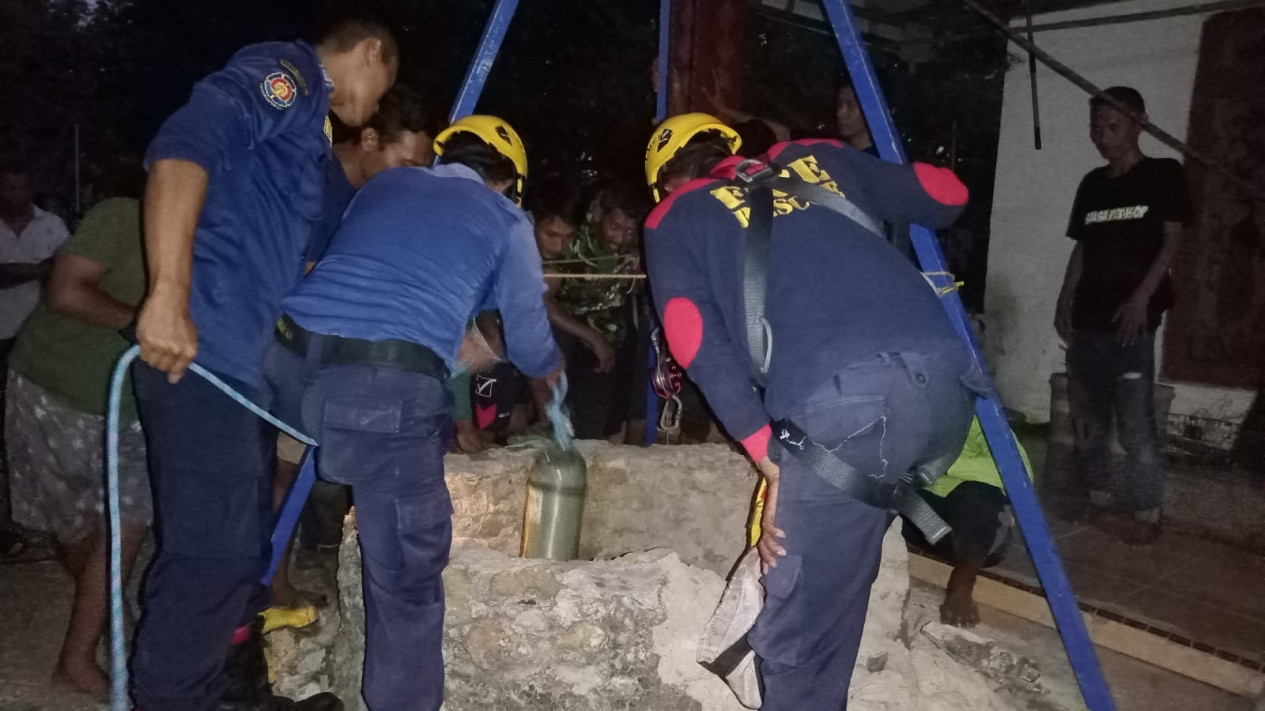 Petugas saat mengevakuasi sapi di dalam sumur