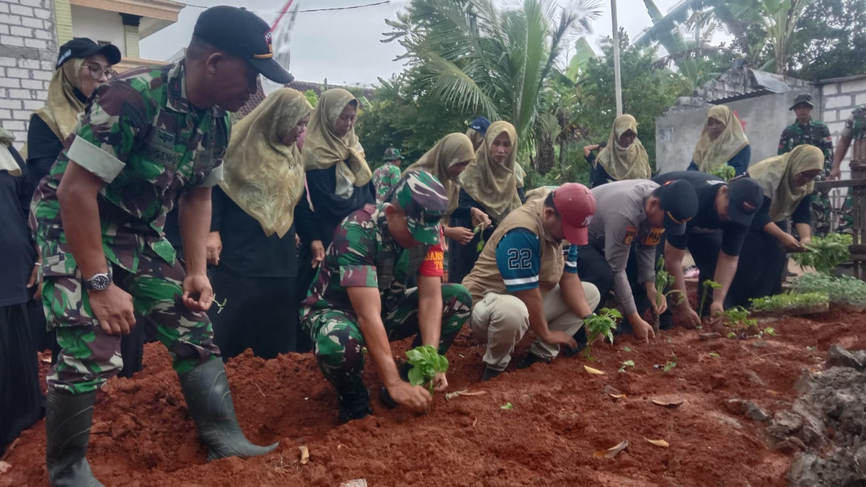 TNI dan warga Lamongan saat menanam sayuran