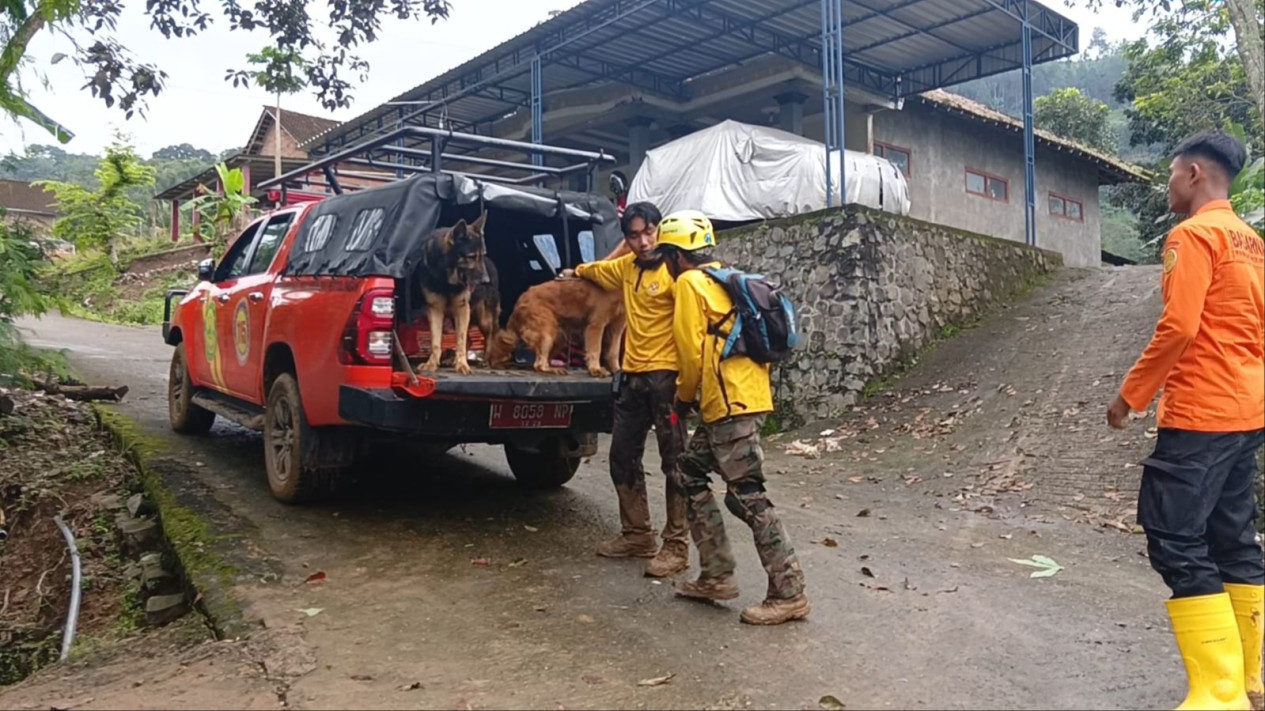 Anjing pelacak dikerahkan untuk cari 6 korban longsor