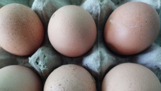 Stok Cukup, Harga Telur di Jatim Malah Merangkak Naik