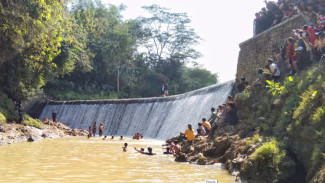 Warga Berebut Kepala Kerbau saat Bersih Dam Bagong Trenggalek