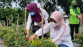 9 Tanaman Pengganti Padi Digalakkan Pemkot Surabaya untuk Antisipasi El Nino