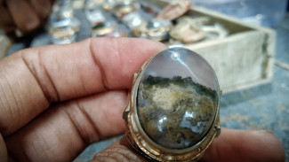 Photo Mini 2
