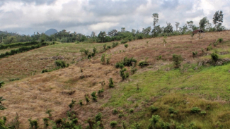 Kondisi perbukitan di wilayah Tulungagung selatan gersang