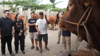 Hewan kurban yang disiapkan Mas Dhito dan Mbak Cicha Hewan kurban yang disiapkan Mas Dhito dan Mbak Cicha