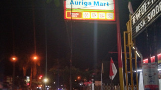 Photo Mini 2