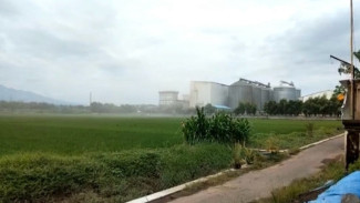 Photo Mini 2