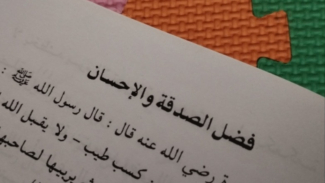 Article
