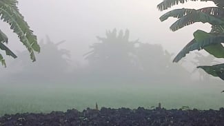 Kabut Pekat Selimuti Jawa Timur, Ini Penjelasan BMKG